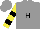 Silk - Grey, black 'h', yellow and black bands on sleeves
