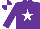 Silk - Purple, white star, purple sleeves, quartered cap