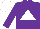 Silk - Purple, white triangle, white cap