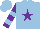 Silk - Light blue, purple star, light blue bars on purple sleeves