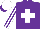 Silk - Purple, white cross, striped sleeves, quartered cap, purple peak