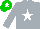 Silk - Silver, white star, silver sleeves, green cap, white star