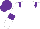 Silk - White body, purple epaulettes, white arms, purple armlets, purple cap