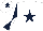 Silk - White, dark blue star, dark blue and white diabolo on sleeves, white cap, dark blue star