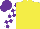 Silk - Yellow, white & purple check sleeves & cap