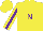 Silk - Yellow, purple 'n', purple stripe on sleeves