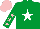 Silk - Emerald green, white star, emerald green sleeves, pink stars and cap