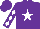 Silk - Purple, white star, white diamonds on sleeves