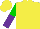 Silk - Yellow, black phoenix emblem on back, yellow bar on green & purple halved sleeves