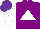 Silk - Royal purple, white triangle, white sleeves, purple cap