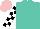 Silk - Turquoise, pink iris, black and white blocks on sleeves, pink cap