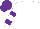 Silk - White, purple hoops on sleeves, purple cap