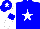Silk - Blue-light body, white star, white arms, blue-light armlets, blue-light cap, white star
