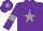 Silk - Purple, grey star, armlets and star on cap