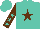 Silk - Turquoise, brown star, turquoise stars on brown sleeves, turquoise cap