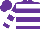 Silk - Purple, white hoops, white hoops on sleeves, purple cap