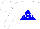 Silk - White, white 'rsr' on blue triangle, white cap