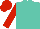Silk - Turquoise, white emblem, red sleeves, red cap