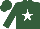 Silk - Hunter green, white star, hunter green sleeves, hunter green cap