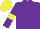 Silk - Purple body, purple arms, yellow armlets, yellow cap