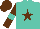 Silk - Turquoise, brown star and 'w', turquoise stars and bars on brown sleeves, brown cap