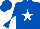 Silk - Royal blue, white star emblem, royal blue and white diagonally quartered sleeves, royal blue cap