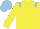 Silk - Yellow body, light blue epaulets, yellow arms, light blue cap