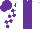 Silk - White, purple panel, purple blocks on sleeves, purple cap