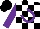 Silk - Black & white checks, purple horseshoe m, purple sleeves