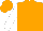 Silk - Orange,white logo,white sleeves, orange cap