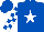 Silk - Royal blue, white star, white blocks on sleeves, royal blue cap