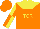 Silk - Fluorescent orange, yellow yoke and 'tor', fluorescent orange and yellow quartered sleeves, fluorescent orange cap