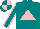 Silk - Teal, pink triangle, pink seams on sleeves, teal and pink quartered cap