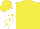 Silk - Yellow, white sleeves, yellow stars, yellow cap