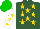 Silk - Hunter green, gold stars, white sleeves, gold stars, green cap