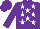 Silk - Purple, white stars, white horse head