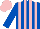 Silk - ROYAL BLUE and PINK stripes, ROYAL BLUE sleeves, PINK cap