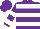 Silk - Purple, white hoops, white bars and cuffs on sleeves