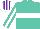 Silk - Turquoise,  white hoop, white stripe on sleeves, white and purple striped cap