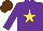 Silk - Purple, yellow star, brown cap