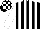 Silk - black, white stripes, white sleeves, white checks on cap