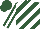 Silk - Hunter green, white diagonal stripes, white stripe on sleeves