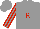 Silk - Grey, red 'r', red stripes on sleeves