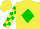 Silk - Yellow, green 'csr' in green diamond, green and yellow checkered sleeves, yellow cap