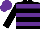 Silk - Black, purple rings, black sleeves, purple cap