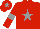 Silk - Red, gray star, red sleeves, gray hoop, red cap, gray star