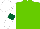 Silk - Light green body, white arms, dark green armlets, white cap