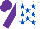 Silk - White, royal blue stars, purple sleeves and cap