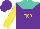 Silk - Purple, yellow 'fkr', turquoise yoke, yellow sleeves