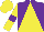 Silk - Purple and yellow triangular thirds, yellow sleeves, purple hoop, yellow cap